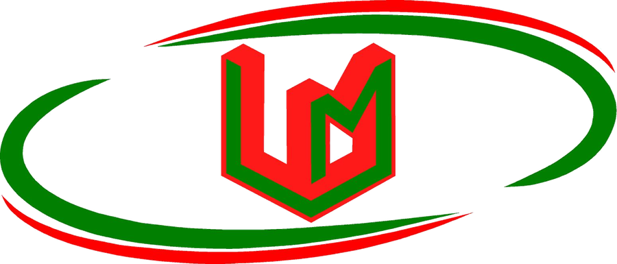 LM Infinite logo